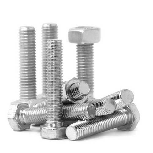 Stainless Steel 304H Screw