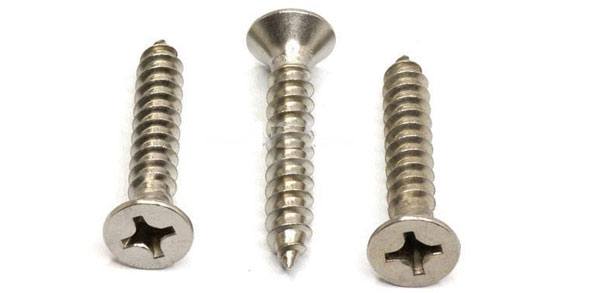 Stainless Steel 304L Screw
